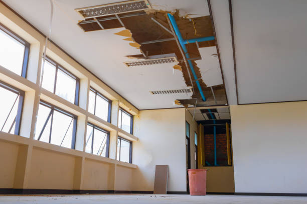 Best Professional water damage repair  in Thermopolis, WY