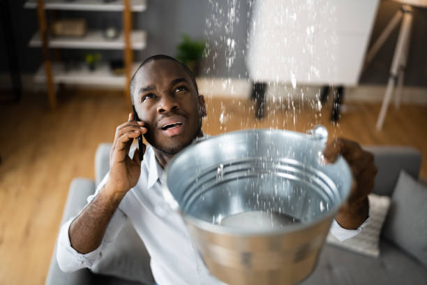 Best Ceiling water damage repair  in Thermopolis, WY