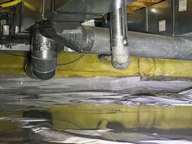 Best Basement water damage restoration  in Thermopolis, WY