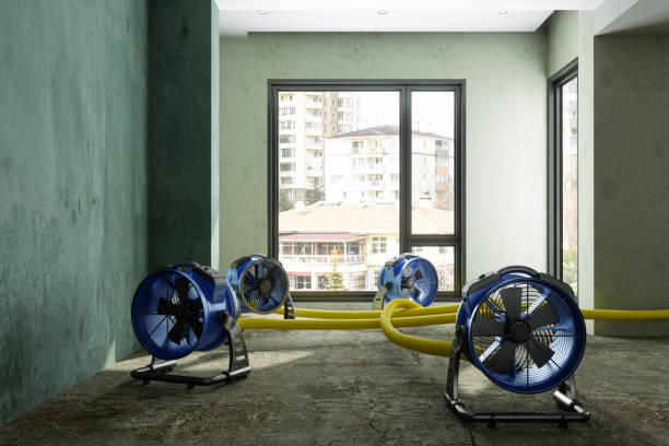 Best Commercial water damage restoration  in Thermopolis, WY